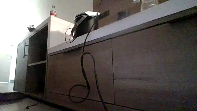 Snapshot of Dicksee_Left chatting on 21, 4, 2026 Dicksee Left online show from 21, 4, 2026