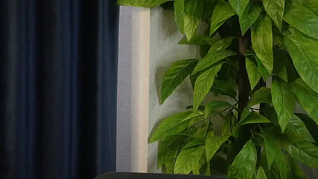 Snapshot of SelmaHjort chatting on 27, 4, 2026 SelmaHjort online show from 27, 4, 2026