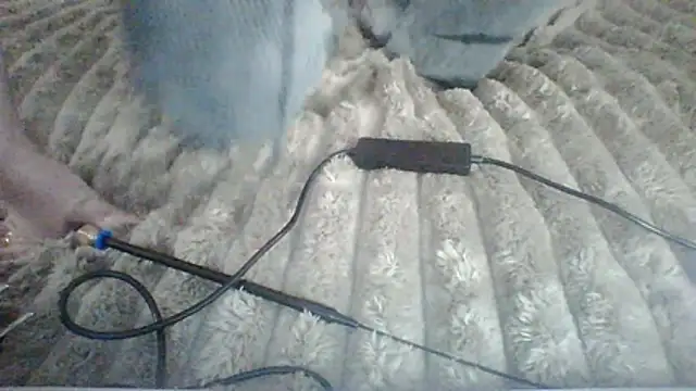 Snapshot of Lisanta chatting on 12, 7, 2026 Lisanta online show from 12, 7, 2026