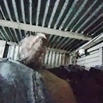 Snapshot of PUNEPLAYBOY2 chatting on 20, 4, 2026 PUNEPLAYBOY2 online show from 20, 4, 2026