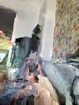 Snapshot of bellequeue147 chatting on 21, 4, 2026 bellequeue147 online show from 21, 4, 2026