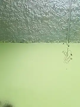 Snapshot of Micaejj chatting on 21, 4, 2026 Micaejj online show from 21, 4, 2026