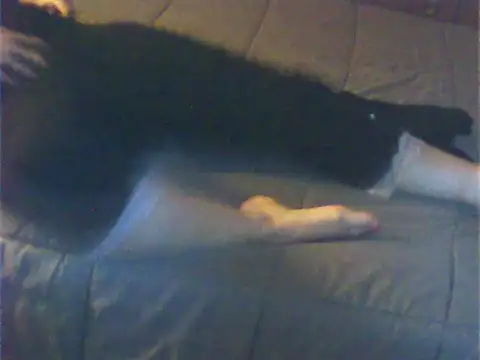 Snapshot of Cuginetti chatting on 27, 4, 2026 Cuginetti online show from 27, 4, 2026