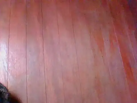 Snapshot of Annisof chatting on 25, 4, 2026 Annisof online show from 25, 4, 2026