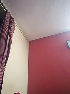 Snapshot of hornyflex_ledger chatting on 25, 4, 2026 hornyflex ledger online show from 25, 4, 2026