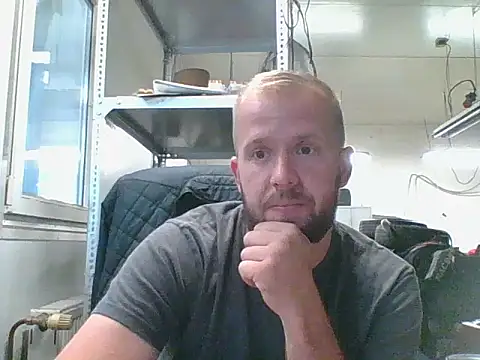 bardiauto online show from 17, 7, 2026