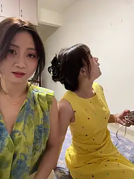 huihui 520 online show from 28, 6, 2026