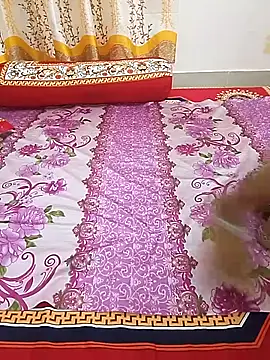 bristyislam online show from 16, 6, 2026