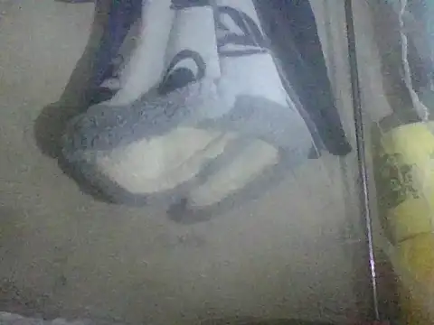 Snapshot of prettybelly chatting on 26, 5, 2026 prettybelly online show from 26, 5, 2026