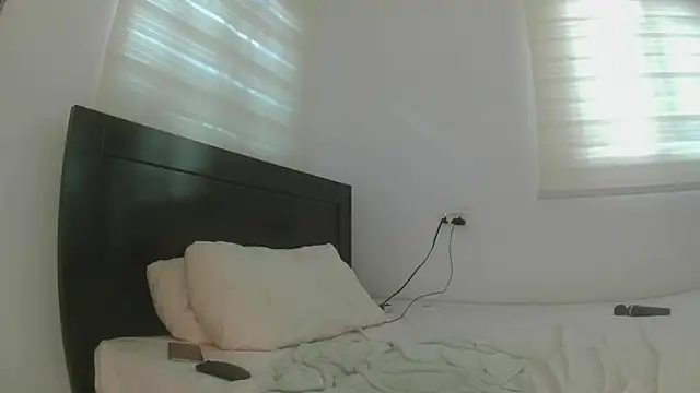 Snapshot of SovereignSilk chatting on 29, 7, 2026 SovereignSilk online show from 29, 7, 2026