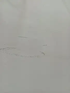 Snapshot of Riya_hot8 chatting on 11, 7, 2026 Riya hot8 online show from 11, 7, 2026