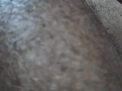 indiboy009 online show from 14, 3, 2025