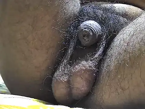 indiboy009 online show from 17, 9, 2025