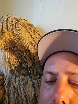 heterohotguy78 online show from 20, 7, 2026