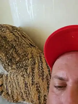 heterohotguy78 online show from 24, 7, 2026