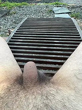 pisellonedoro26 online show from 13, 7, 2026