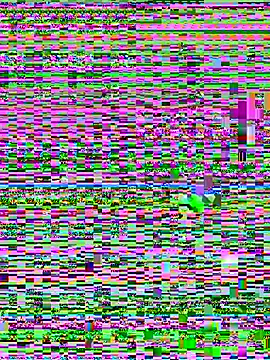 Snapshot of Jelmer57 chatting on 24, 7, 2026 Jelmer57 online show from 24, 7, 2026