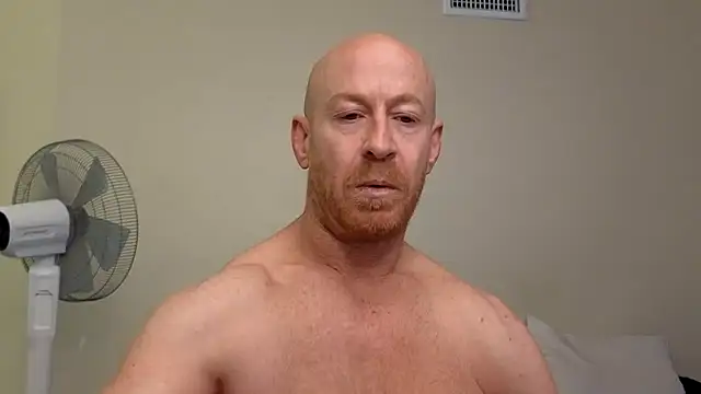 Snapshot of brotein369 chatting on 17, 2, 2026 brotein369 online show from 17, 2, 2026