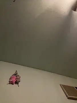 Snapshot of Slumlords chatting on 11, 3, 2026 Slumlords online show from 11, 3, 2026