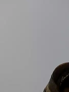 ThethunderPo online show from 27, 12, 2024