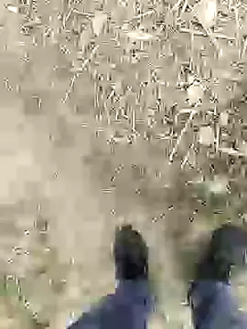 ThethunderPo online show from 4, 1, 2025