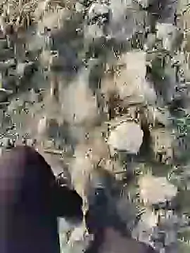 ThethunderPo online show from 19, 1, 2025