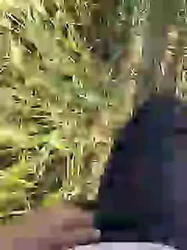 ThethunderPo online show from 18, 3, 2025