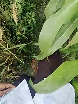 ThethunderPo online show from 21, 3, 2025