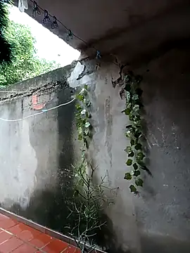 Snapshot of Camilatinass_ chatting on 16, 4, 2026 Camilatinass online show from 16, 4, 2026