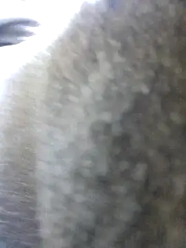 Snapshot of UncutHammer69 chatting on 26, 10, 2025 UncutHammer69 online show from 26, 10, 2025