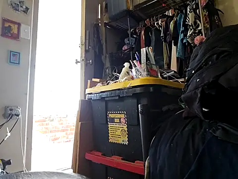 Snapshot of UncutHammer69 chatting on 7, 1, 2026 UncutHammer69 online show from 7, 1, 2026