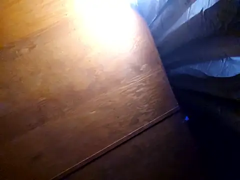 Snapshot of UncutHammer69 chatting on 17, 2, 2026 UncutHammer69 online show from 17, 2, 2026