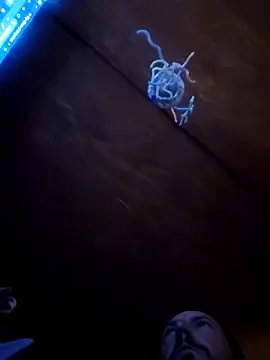 Snapshot of UncutHammer69 chatting on 9, 4, 2026 UncutHammer69 online show from 9, 4, 2026