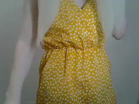 Snapshot of DitaVira chatting on 26, 1, 2025 DitaVira online show from 26, 1, 2025