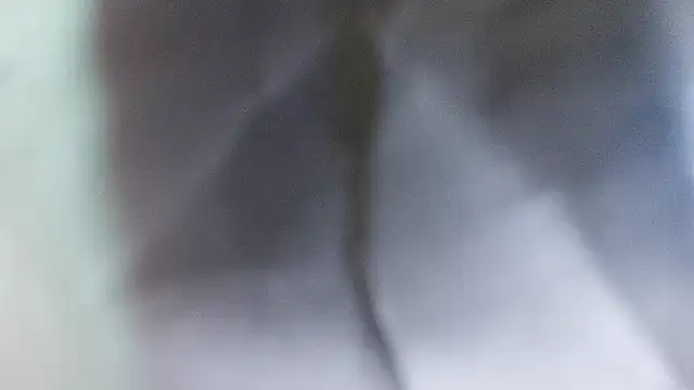 domjoab online show from 2, 2, 2026