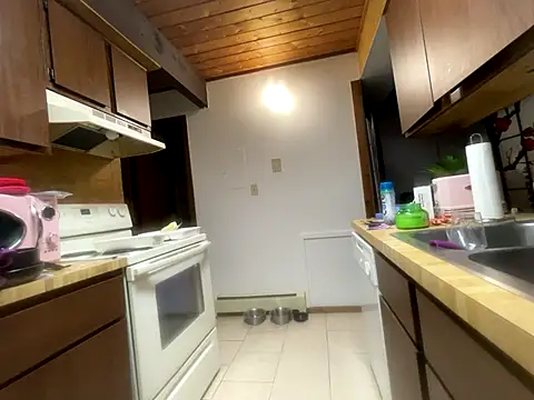 Snapshot of odbodu chatting on 14, 11, 2025 odbodu online show from 14, 11, 2025