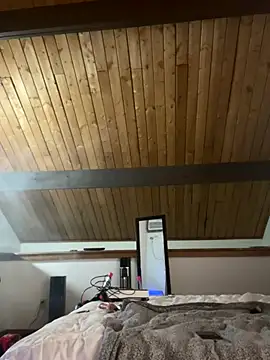 Snapshot of odbodu chatting on 23, 11, 2025 odbodu online show from 23, 11, 2025