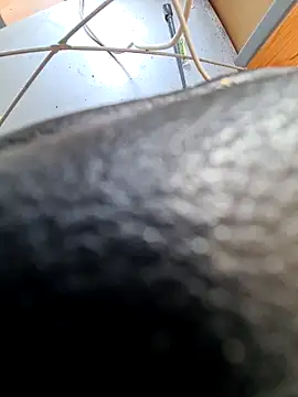 PetePro1989 online show from 8, 4, 2026