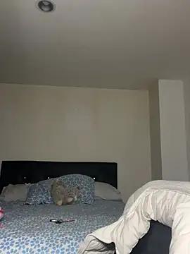 Snapshot of swrennn19 chatting on 17, 2, 2025 swrennn19 online show from 17, 2, 2025