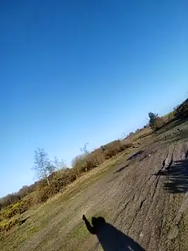 Muzz 2020 online show from 10, 4, 2026