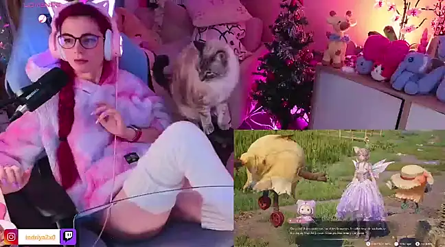 Indriya2x0 online show from 17, 12, 2024