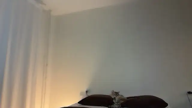 Snapshot of Milky___Way chatting on 10, 1, 2026 Milky Way online show from 10, 1, 2026