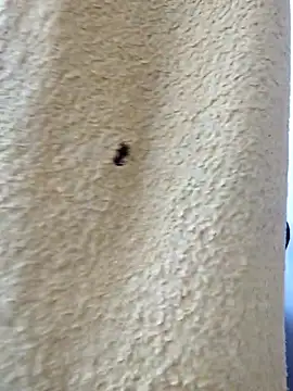 Snapshot of david_geam chatting on 20, 3, 2026 david geam online show from 20, 3, 2026