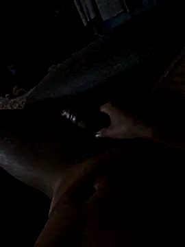 jorgenew online show from 20, 11, 2025