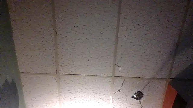 moipipi2 online show from 7, 12, 2024