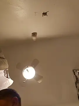 Snapshot of tropikboy chatting on 12, 1, 2026 tropikboy online show from 12, 1, 2026