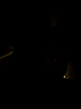 Snapshot of tropikboy chatting on 21, 3, 2026 tropikboy online show from 21, 3, 2026