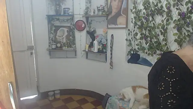 Snapshot of FunnyGrandma chatting on 12, 7, 2026 FunnyGrandma online show from 12, 7, 2026