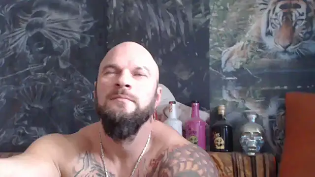 viking 30 online show from 18, 11, 2025