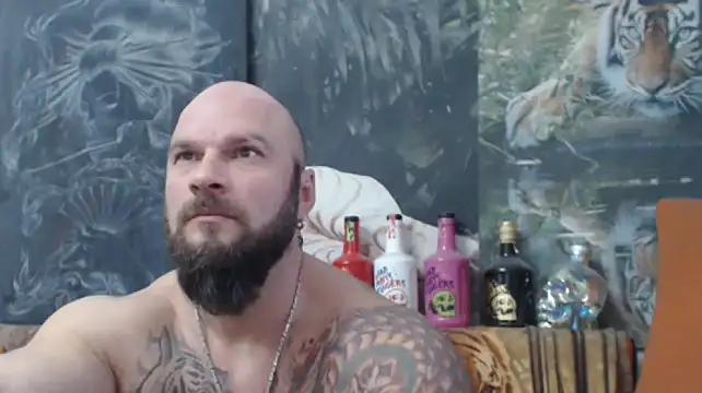 viking 30 online show from 2, 12, 2025